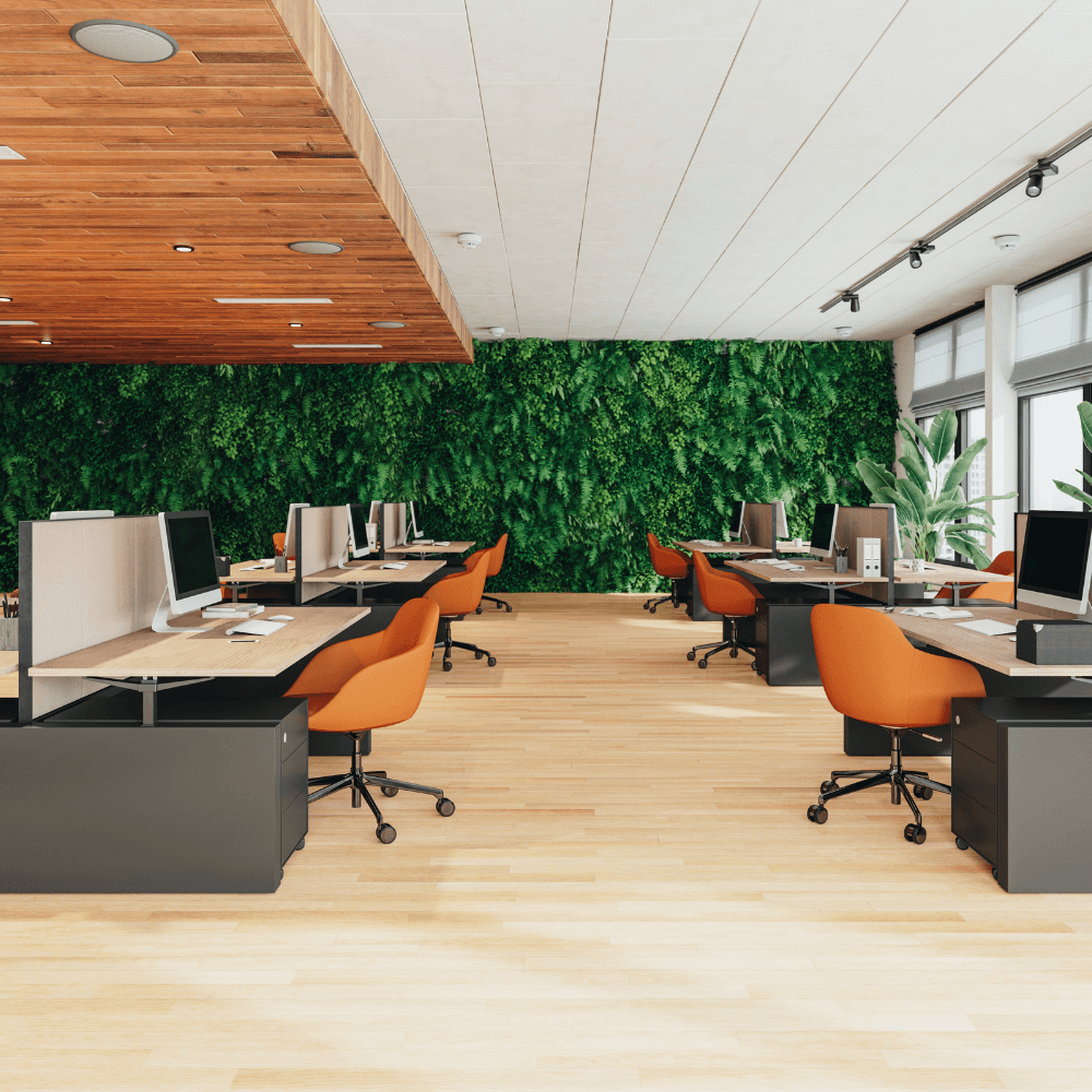 Work-from-park spaces