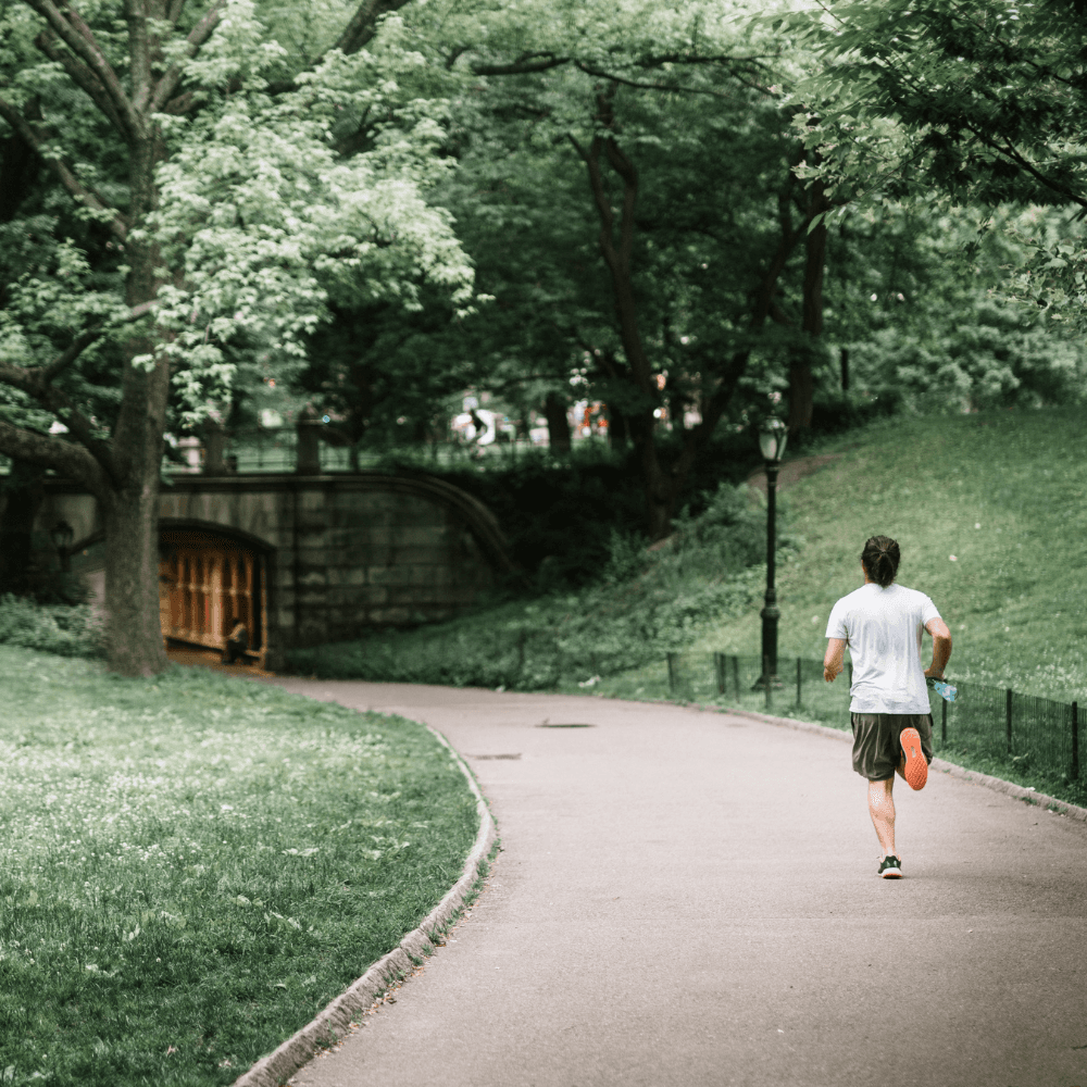 Jogging (or) Walking Track